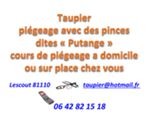 taupier lescoutien