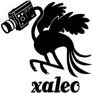 xaleostudio