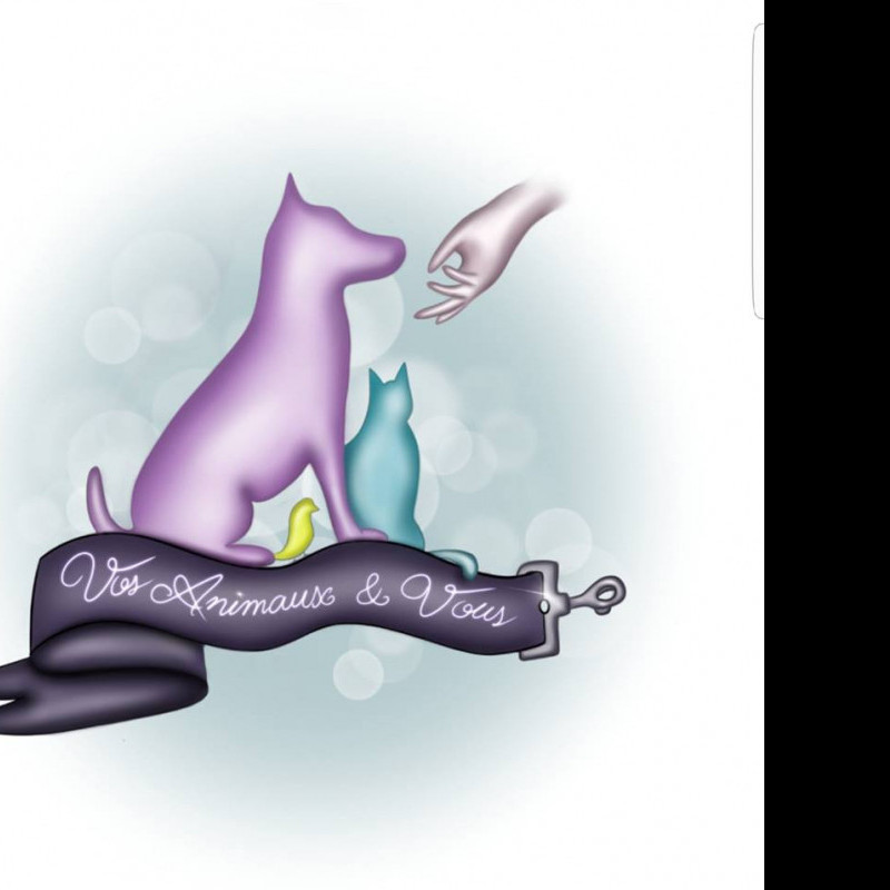 Pet-sitter