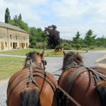 image_Balades en calèche