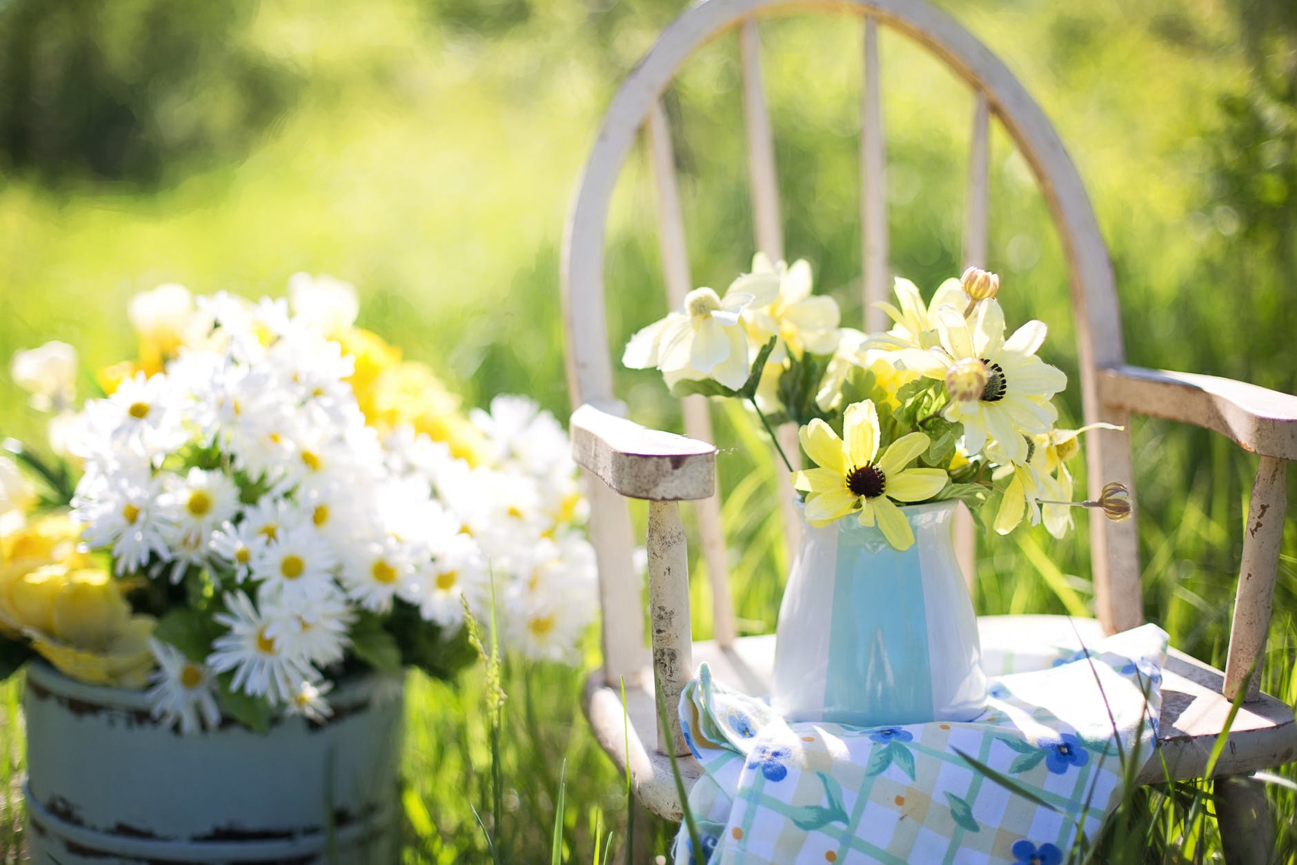 image_Les Français, ces accros du jardin !
